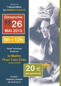 affiche_stage_2013_phan_toan_chau