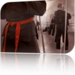 Nouveaux gradés dans le Val D’oise – 5 juin 2010
