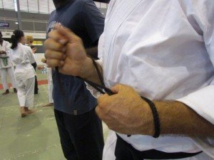 IMG_8702