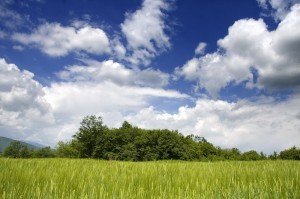 campagne
