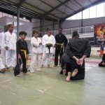 IMG_8733