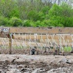 TaySon-MudDay-00430