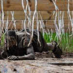 TaySon-MudDay-00444