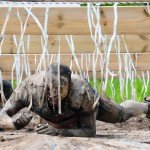 TaySon-MudDay-00446