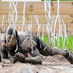 TaySon-MudDay-00447