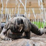 TaySon-MudDay-00449