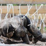 TaySon-MudDay-00453