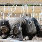 TaySon-MudDay-00454