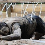TaySon-MudDay-00456