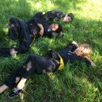 stage-enfants-flavacourt-2014-85