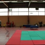defi-tayson-2015-001
