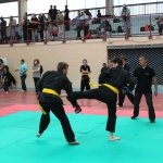 defi-tayson-2015-016