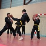 defi-tayson-2015-018
