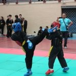 defi-tayson-2015-025