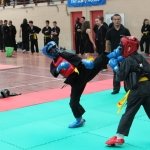 defi-tayson-2015-028