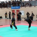 defi-tayson-2015-029
