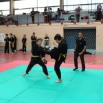 defi-tayson-2015-030