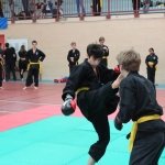 defi-tayson-2015-031