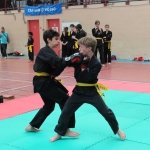 defi-tayson-2015-032