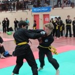defi-tayson-2015-033