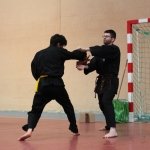 defi-tayson-2015-037