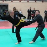 defi-tayson-2015-038