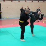 defi-tayson-2015-041