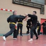 defi-tayson-2015-045