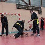 defi-tayson-2015-047