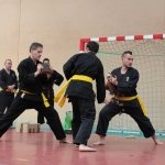 defi-tayson-2015-050