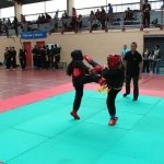 defi-tayson-2015-060