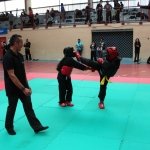 defi-tayson-2015-062