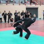 defi-tayson-2015-066