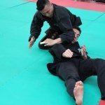 defi-tayson-2015-070