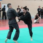 defi-tayson-2015-071
