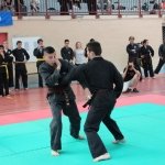 defi-tayson-2015-072