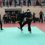 defi-tayson-2015-081