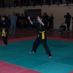 defi-tayson-2015-099