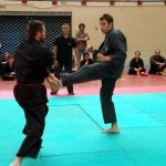 defi-tayson-2015-1011