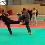 defi-tayson-2015-1016