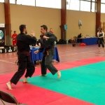 defi-tayson-2015-1019