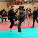 defi-tayson-2015-1023