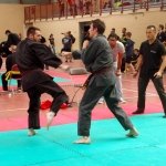 defi-tayson-2015-1024