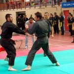 defi-tayson-2015-1025