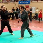 defi-tayson-2015-1030