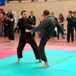 defi-tayson-2015-1039