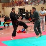 defi-tayson-2015-1040
