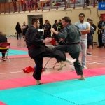 defi-tayson-2015-1041