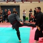 defi-tayson-2015-1052