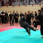 defi-tayson-2015-1054